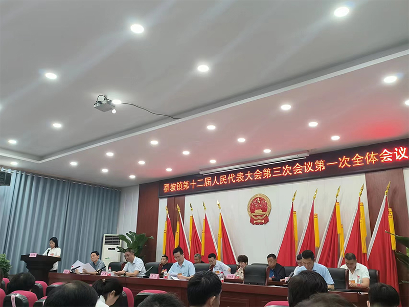 全面学习领会精神 凝心聚力谋发展