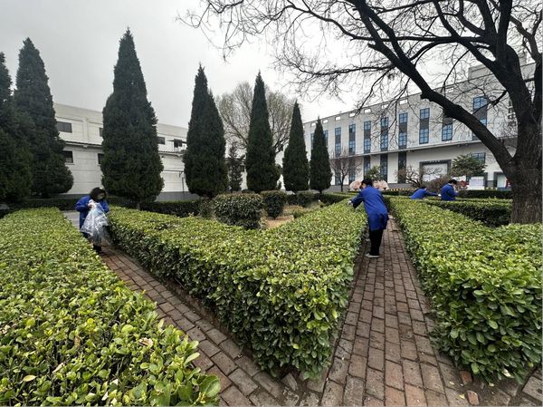 图片2